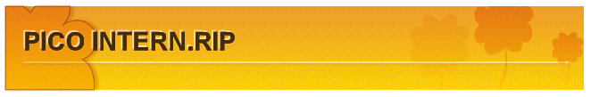 PICO INTERN.RIP