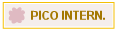 PICO INTERN.
